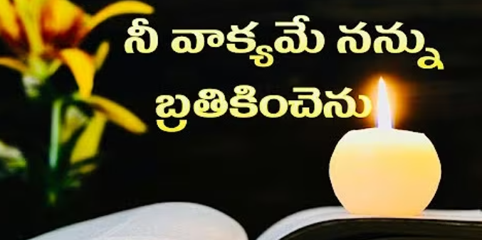Nee Vakyame Nannu Brathikinchenu Lyrics