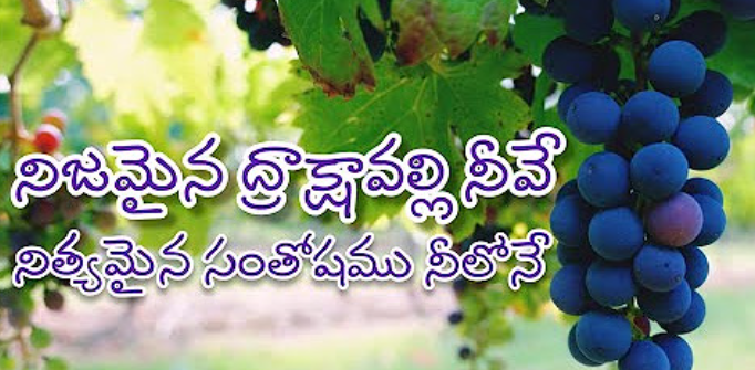 Nijamaina Drakshavalli Neeve Lyrics