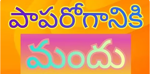 Paaparogaaniki Mandu Song Lyrics