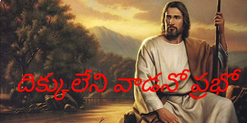Dikkuleni Vaadano Prabho Lyrics